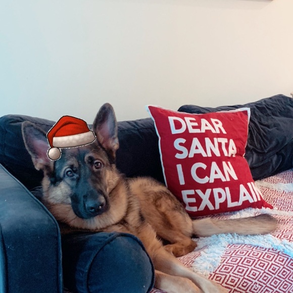 Meet your Posher, Jessie - Picture 1 of 1